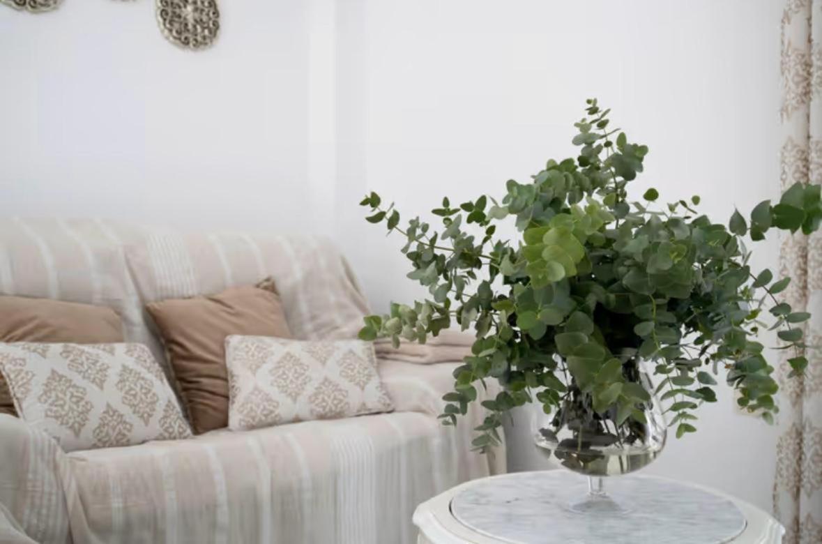 Apartamento Cataleya Ронда Экстерьер фото